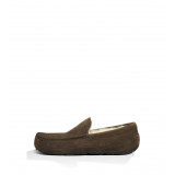 Мокасины UGG ASCOT CHO